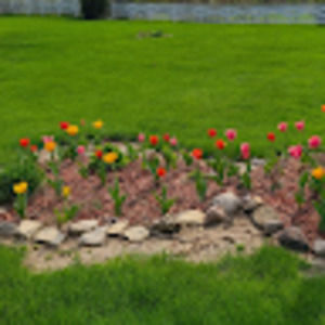 Meet your Posher, Ann